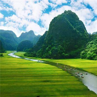 宝贝联盟2破解版下载