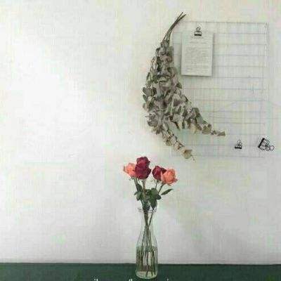 梦幻缥缈官方版下载
